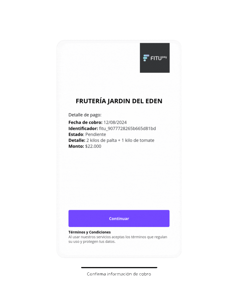 Fitupay - Proceso de pago